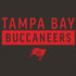 NFL Tampa Bay Buccaneers Brown Performance Series PS4 Slim Bundle Skin